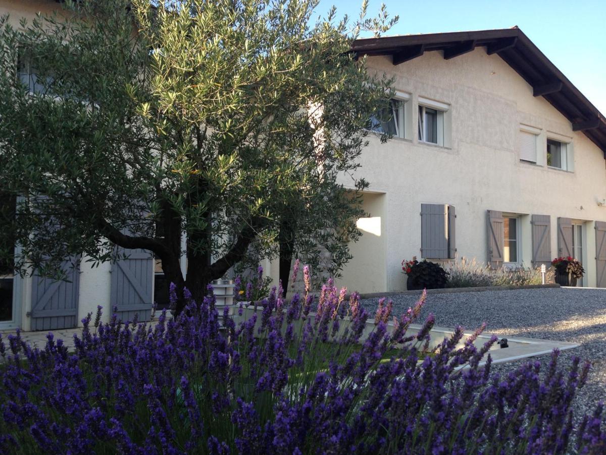 Aux Sources D'Hossegor Bed & Breakfast Soorts-Hossegor Exterior photo